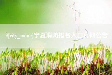 忻州宁夏消防报名入口官网公告