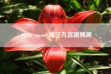 忻州排三九宫图预测