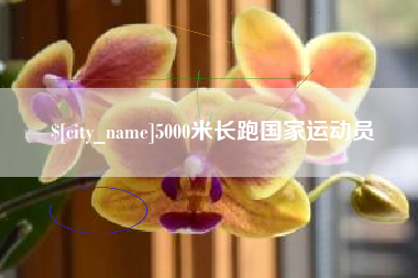 忻州5000米长跑国家运动员
