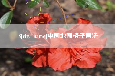 忻州中国地图格子画法