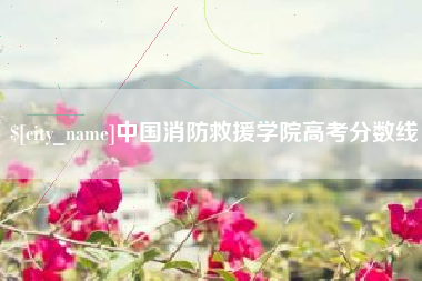 忻州中国消防救援学院高考分数线