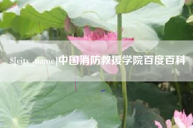 忻州中国消防救援学院百度百科