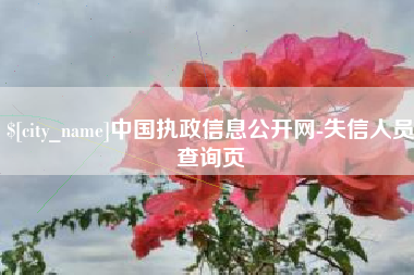忻州中国执政信息公开网-失信人员查询页