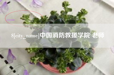 忻州中国消防救援学院 老师