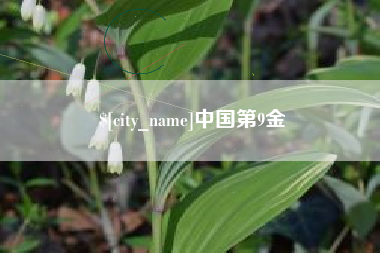 忻州中国第9金