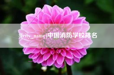 忻州中国消防学校排名