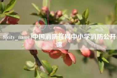 忻州中国消防官网中小学消防公开课
