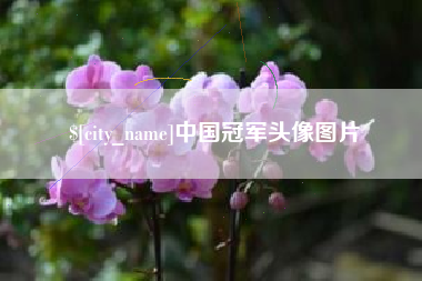 忻州中国冠军头像图片