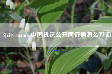 忻州中国执法公开网征信怎么查询