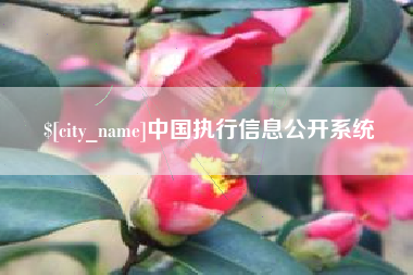 忻州中国执行信息公开系统