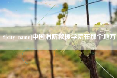 忻州中国消防救援学院在那个地方