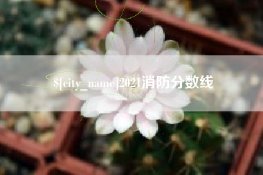 忻州2021消防分数线