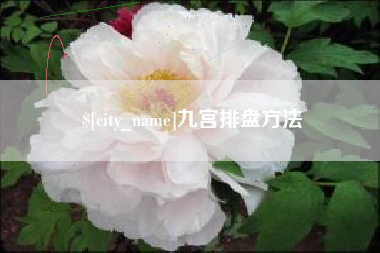 忻州九宫排盘方法