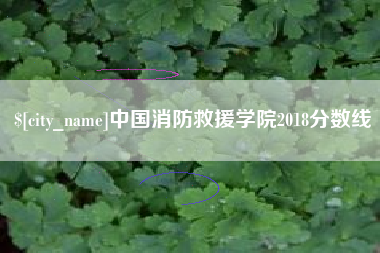 忻州中国消防救援学院2018分数线