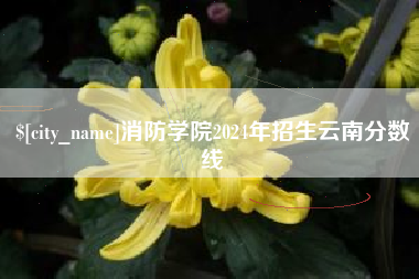 忻州消防学院2024年招生云南分数线