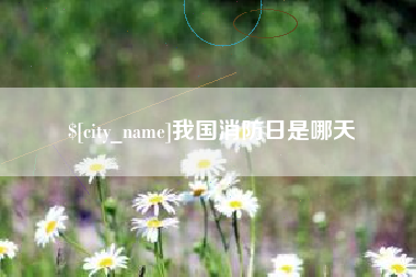 忻州我国消防日是哪天