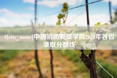 忻州中国消防救援学院2020年各省录取分数线