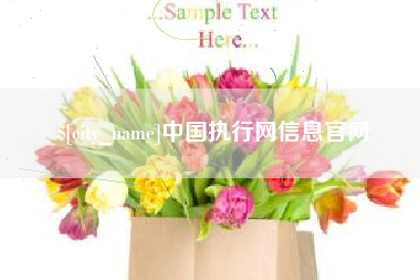 忻州中国执行网信息官网