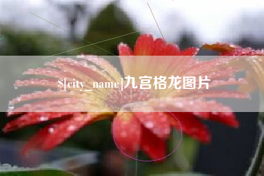忻州九宫格龙图片