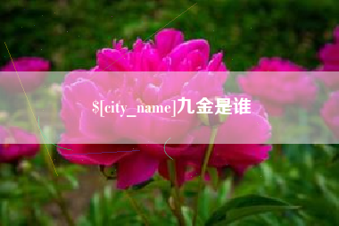 忻州九金是谁