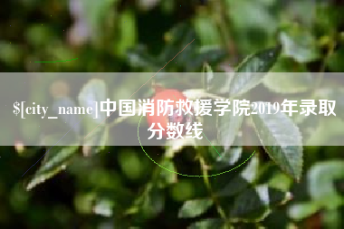 忻州中国消防救援学院2019年录取分数线