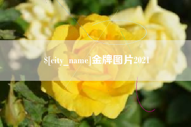 忻州金牌图片2021