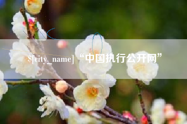 忻州“中国执行公开网”
