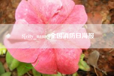 忻州全国消防日海报