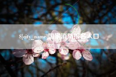 忻州国家消防报名入口