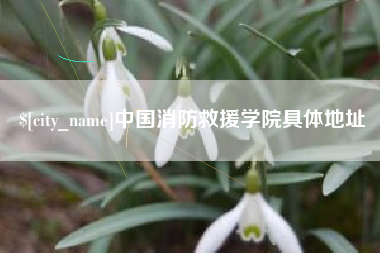 忻州中国消防救援学院具体地址