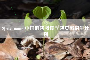 忻州中国消防救援学院安徽招生计划