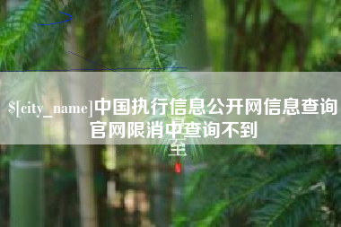 忻州中国执行信息公开网信息查询官网限消中查询不到