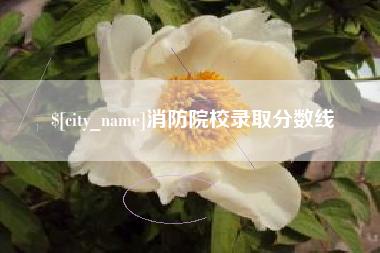 忻州消防院校录取分数线
