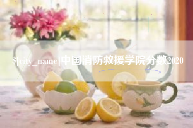 忻州中国消防救援学院分数2020