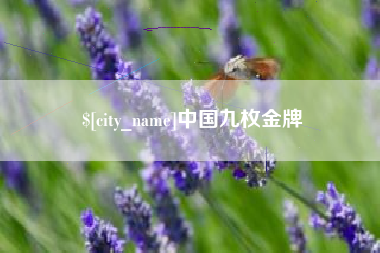 忻州中国九枚金牌