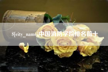 忻州中国消防学院排名前十