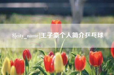 忻州王子豪个人简介乒乓球