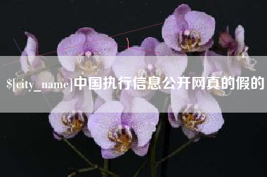 忻州中国执行信息公开网真的假的