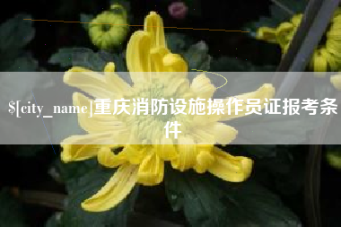 忻州重庆消防设施操作员证报考条件