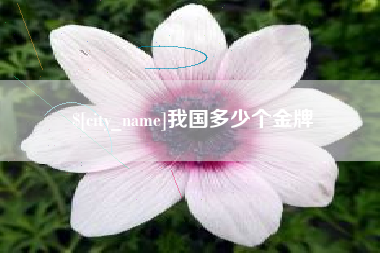 忻州我国多少个金牌