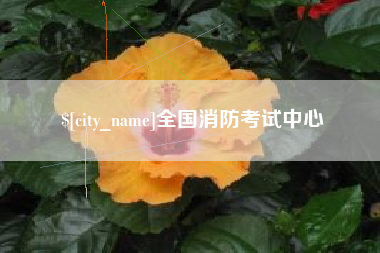 忻州全国消防考试中心