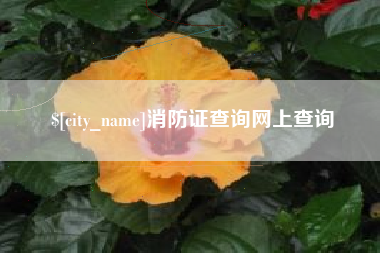 忻州消防证查询网上查询