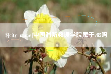 忻州中国消防救援学院属于985吗