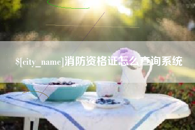 忻州消防资格证怎么查询系统