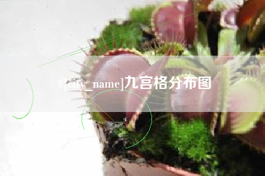 忻州九宫格分布图