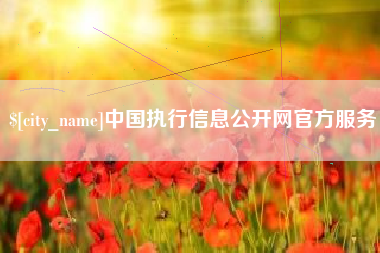 忻州中国执行信息公开网官方服务