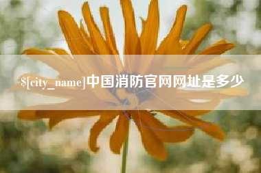 忻州中国消防官网网址是多少