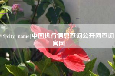 忻州中国执行信息查询公开网查询官网