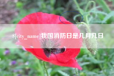 忻州我国消防日是几月几日