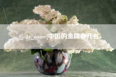 忻州中国的金牌有几名